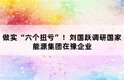 做实“六个扭亏”！刘国跃调研国家能源集团在豫企业