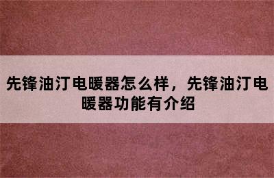 先锋油汀电暖器怎么样，先锋油汀电暖器功能有介绍