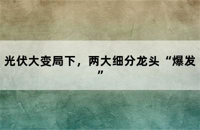 光伏大变局下，两大细分龙头“爆发”