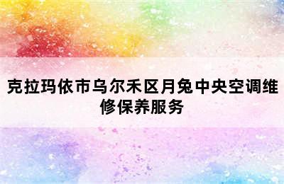 克拉玛依市乌尔禾区月兔中央空调维修保养服务