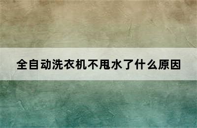 全自动洗衣机不甩水了什么原因