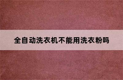 全自动洗衣机不能用洗衣粉吗