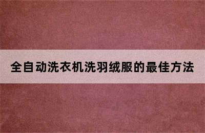 全自动洗衣机洗羽绒服的最佳方法