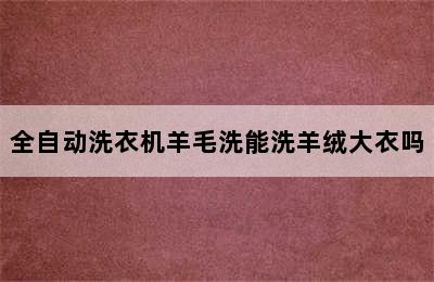 全自动洗衣机羊毛洗能洗羊绒大衣吗