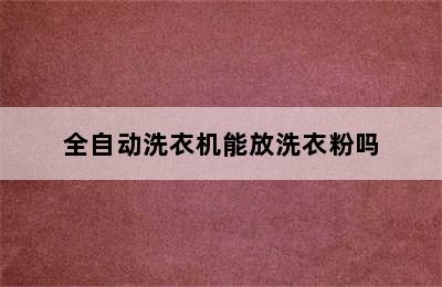 全自动洗衣机能放洗衣粉吗