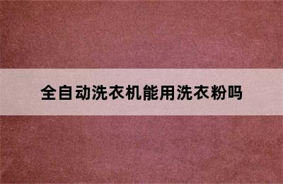 全自动洗衣机能用洗衣粉吗