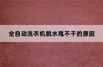 全自动洗衣机脱水甩不干的原因