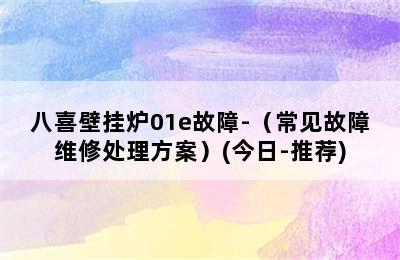 八喜壁挂炉01e故障-（常见故障维修处理方案）(今日-推荐)