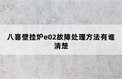 八喜壁挂炉e02故障处理方法有谁清楚