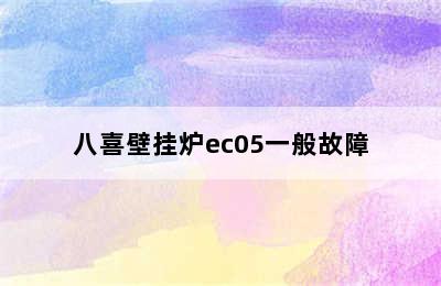 八喜壁挂炉ec05一般故障