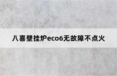 八喜壁挂炉eco6无故障不点火