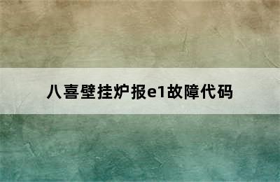 八喜壁挂炉报e1故障代码