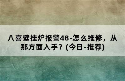 八喜壁挂炉报警48-怎么维修，从那方面入手？(今日-推荐)