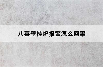 八喜壁挂炉报警怎么回事