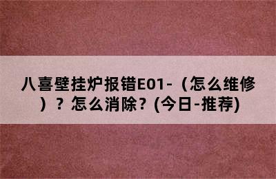 八喜壁挂炉报错E01-（怎么维修）？怎么消除？(今日-推荐)