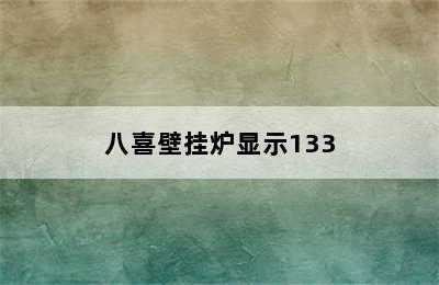 八喜壁挂炉显示133