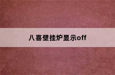 八喜壁挂炉显示off