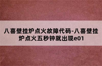 八喜壁挂炉点火故障代码-八喜壁挂炉点火五秒钟就出现e01