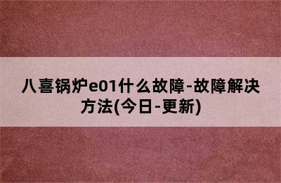 八喜锅炉e01什么故障-故障解决方法(今日-更新)