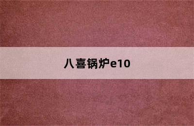 八喜锅炉e10