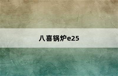 八喜锅炉e25