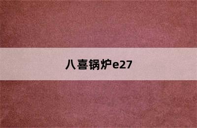 八喜锅炉e27