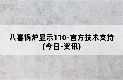 八喜锅炉显示110-官方技术支持(今日-资讯)