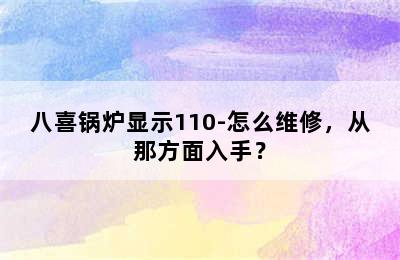 八喜锅炉显示110-怎么维修，从那方面入手？