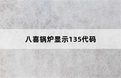 八喜锅炉显示135代码