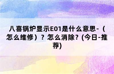 八喜锅炉显示E01是什么意思-（怎么维修）？怎么消除？(今日-推荐)