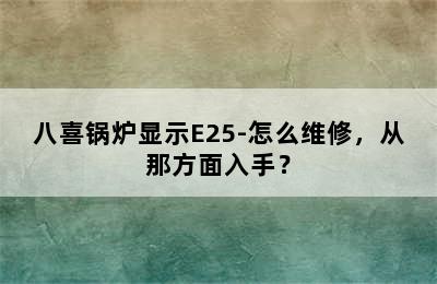 八喜锅炉显示E25-怎么维修，从那方面入手？