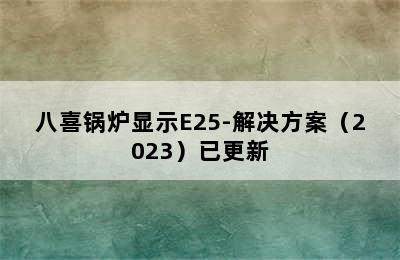 八喜锅炉显示E25-解决方案（2023）已更新