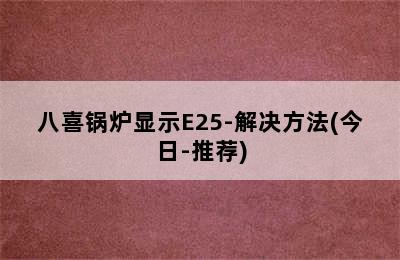 八喜锅炉显示E25-解决方法(今日-推荐)