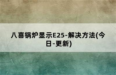 八喜锅炉显示E25-解决方法(今日-更新)