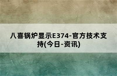 八喜锅炉显示E374-官方技术支持(今日-资讯)