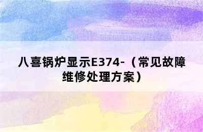 八喜锅炉显示E374-（常见故障维修处理方案）