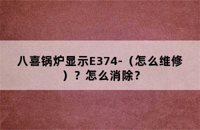 八喜锅炉显示E374-（怎么维修）？怎么消除？