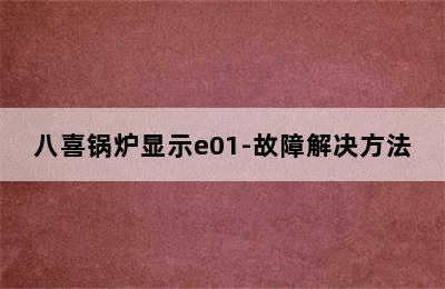 八喜锅炉显示e01-故障解决方法