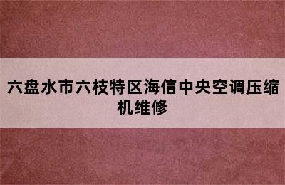 六盘水市六枝特区海信中央空调压缩机维修