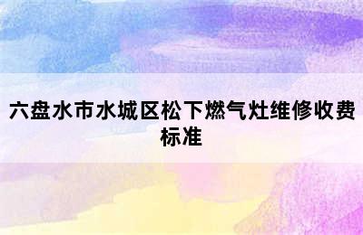 六盘水市水城区松下燃气灶维修收费标准