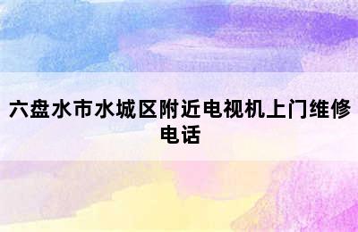 六盘水市水城区附近电视机上门维修电话