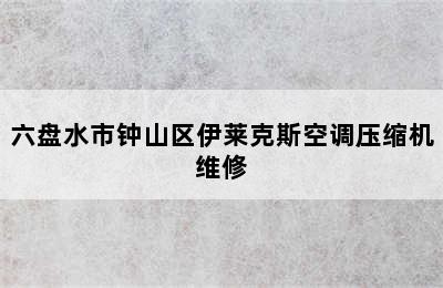 六盘水市钟山区伊莱克斯空调压缩机维修