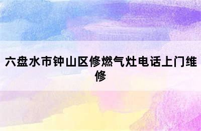 六盘水市钟山区修燃气灶电话上门维修