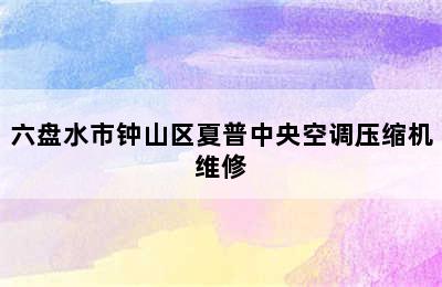 六盘水市钟山区夏普中央空调压缩机维修