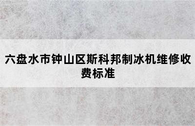 六盘水市钟山区斯科邦制冰机维修收费标准