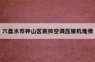 六盘水市钟山区统帅空调压缩机维修