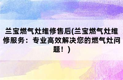 兰宝燃气灶维修售后(兰宝燃气灶维修服务：专业高效解决您的燃气灶问题！)