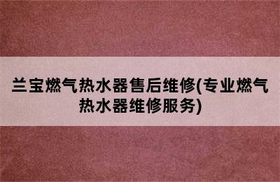 兰宝燃气热水器售后维修(专业燃气热水器维修服务)