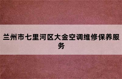 兰州市七里河区大金空调维修保养服务