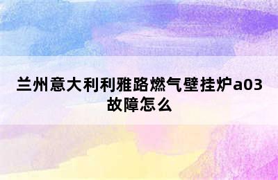 兰州意大利利雅路燃气壁挂炉a03故障怎么